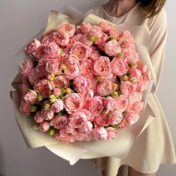 orig (2)60